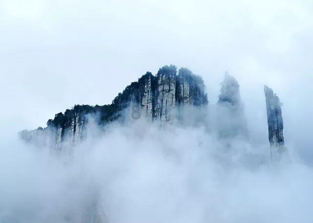 弗格34分张镇麟准三双 赵率舟首秀3分命中率100%助辽宁手刃旧主