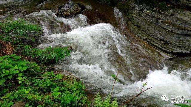 绯雨骑士团